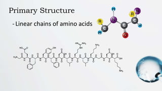 2_Proteins and Lipids.pptx