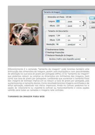 Diferentemente é o comando “tamanho da imagem” onde teremos também uma
diminuição das dimensões da imagem, porém sem mutilações e com possibilidades
de alteração na sua taxa de pixels por polegada (DPIs). É no “tamanho da imagem”
que podemos reduzir ou ampliar as dimensões em milímetros das imagens, bem
como sua taxa de pixels por polegadas. Lembrando que aumentar o tamanho físico
das imagens de bitmaps implica em se reduzir a taxa de pixels por polegada, pois
aumentaremos o tamanho destes.Como resultado teremos imagens serrilhadas e de
difícil aplicação, sobretudo nos meios impressos. Ainda no Canvas podemos ter a
opção de rotacioná-lo ou espelhá-lo vertical ou horizontalmente e estas opções
valerão para todas as camadas e imagens nele contidas.
TAMANHO DA IMAGEM PARA WEB
 