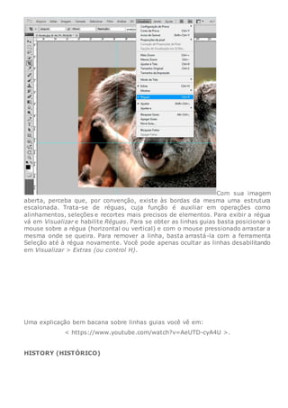 Com sua imagem
aberta, perceba que, por convenção, existe às bordas da mesma uma estrutura
escalonada. Trata-se de réguas, cuja função é auxiliar em operações como
alinhamentos, seleções e recortes mais precisos de elementos. Para exibir a régua
vá em Visualizar e habilite Réguas. Para se obter as linhas guias basta posicionar o
mouse sobre a régua (horizontal ou vertical) e com o mouse pressionado arrastar a
mesma onde se queira. Para remover a linha, basta arrastá-la com a ferramenta
Seleção até à régua novamente. Você pode apenas ocultar as linhas desabilitando
em Visualizar > Extras (ou control H).
Uma explicação bem bacana sobre linhas guias você vê em:
< https://www.youtube.com/watch?v=AeUTD-cyA4U >.
HISTORY (HISTÓRICO)
 