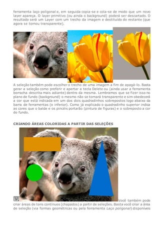 ferramenta laço poligonal e, em seguida copia-se e cola-se de modo que um novo
layer apareça. O layer primitivo (ou ainda o background) poderá ser descartado. O
resultado será um Layer com um trecho da imagem e destituído do restante (que
agora se tornou transparente).
A seleção também pode escolher o trecho de uma imagem a fim de apagá-lo. Basta
gerar a seleção como preferir e apertar a tecla Delete ou (ainda usar a ferramenta
borracha descrita mais adiante) dentro da mesma. Lembramos que se fizer isso no
plano de fundo (background) o mesmo não se tornará transparente e sim obedecerá
a cor que está indicada em um dos dois quadradinhos sobrepostos logo abaixo da
barra de ferramentas (o inferior). Como já explicado o quadradinho superior indica
as cores que o balde e os pincéis portarão (pintura de figuras) e o sobreposto a cor
do fundo.
CRIANDO ÁREAS COLORIDAS A PARTIR DAS SELEÇÕES
Você também pode
criar áreas de tons contínuos (chapados) a partir de seleções. Basta você criar a área
de seleção (via formas geométricas ou pela ferramenta Laço poligonal) disponíveis
 