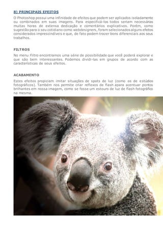 8) PRINCIPAIS EFEITOS
O Photoshop possui uma infinidade de efeitos que podem ser aplicados isoladamente
ou combinados em suas imagens. Para especificá-los todos seriam necessárias
muitas horas de extensa dedicação e comentários explicativos. Porém, como
sugestão para o seu cotidiano como webdesigners, foram selecionados alguns efeitos
considerados imprescindíveis e que, de fato podem trazer bons diferenciais aos seus
trabalhos.
FILTROS
No menu Filtro encontramos uma série de possibilidade que você poderá explorar e
que são bem interessantes. Podemos dividi-las em grupos de acordo com as
características de seus efeitos.
ACABAMENTO
Estes efeitos propiciam imitar situações de spots de luz (como os de estúdios
fotográficos). Também nos permite criar reflexos de flash apara acentuar pontos
brilhantes em nossa imagem, como se fosse um estouro de luz de flash fotográfico
na mesma.
 