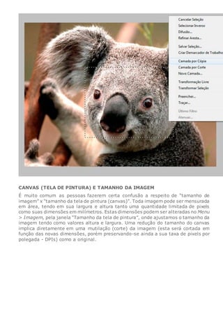 CANVAS (TELA DE PINTURA) E TAMANHO DA IMAGEM
É muito comum as pessoas fazerem certa confusão a respeito de “tamanho de
imagem” x “tamanho da tela de pintura (canvas)”. Toda imagem pode ser mensurada
em área, tendo em sua largura e altura tanto uma quantidade limitada de pixels
como suas dimensões em milímetros. Estas dimensões podem ser alteradas no Menu
> Imagem, pela janela “Tamanho da tela de pintura”, onde ajustamos o tamanho da
imagem tendo como valores altura e largura. Uma redução do tamanho do canvas
implica diretamente em uma mutilação (corte) da imagem (esta será cortada em
função das novas dimensões, porém preservando-se ainda a sua taxa de pixels por
polegada - DPIs) como a original.
 