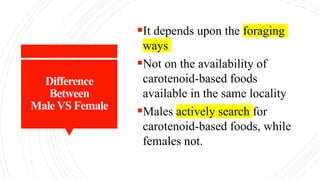Difference
Between
Male VS Female
It depends upon the foraging
ways
Not on the availability of
carotenoid-based foods
available in the same locality
Males actively search for
carotenoid-based foods, while
females not.
 