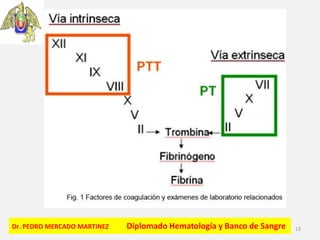 Dr. PEDRO MERCADO MARTINEZ Diplomado Hematología y Banco de Sangre 13
 