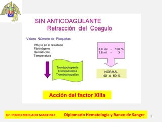 Dr. PEDRO MERCADO MARTINEZ Diplomado Hematología y Banco de Sangre 11
Acción del factor XIIIa
 