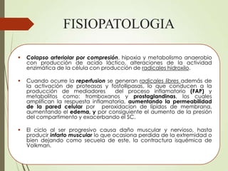  Colapso arteriolar por compresión, hipoxia y metabolismo anaerobio
con producción de acido láctico, alteraciones de la actividad
enzimática de la célula con producción de radicales hidroxilo.
 Cuando ocurre la reperfusion se generan radicales libres además de
la activación de proteasas y fosfollipasas, lo que conducen a la
producción de mediadores del proceso inflamatorio (FAP) y
metabolitos como: tromboxanos y prostaglandinas, los cuales
amplifican la respuesta inflamatoria, aumentando la permeabilidad
de la pared celular por peroxidacion de lípidos de membrana,
aumentando el edema, y por consiguiente el aumento de la presión
del compartimento y exacerbando el SC.
 El ciclo al ser progresivo causa daño muscular y nervioso, hasta
producir infarto muscular lo que ocasiona perdida de la extremidad o
bien dejando como secuela de este, la contractura isquémica de
Volkman.
FISIOPATOLOGIA
 