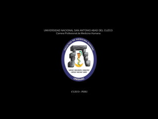 UNIVERSIDAD NACIONAL SAN ANTONIO ABAD DEL CUZCO
Carrera Profesional de Medicina Humana
CUZCO - PERU
 
