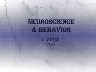 Neuroscience & Behavior Chapter Two 