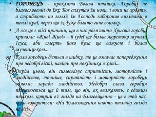 • ГОРОБЕЦЬ - проклята Богом пташка. Горобці не
благословенні до їжі; Бог сплутав їм ноги, і вони не ходять,
а стрибають по землі; їм Господь заборонив вилітати в
теплі краї, через що їх дуже багато гине взимку.
• А все це з тієї причини, що в час розп'яття Христа горобці
кричали: «Жив! Жив!» - й іудеї ще більш жорстоко мучили
Ісуса, аби смерть його була ще важчою і більш
мученицькою...
• Коли горобець б'ється в шибку, то це означає попередження
про недобрі вісті, навіть про покійника в хаті...
• Окрім цього, він символізує спритність, моторність і
злодійство, точніше, спритність і моторність горобець
виявляє заради злодійства. Недобра слава горобця
підсилюється ще й тим, що він, як вважають, є єдиним
птахом, котрий в'є гніздо на Благовіщення - це в той час,
коли говориться: «На Благовіщення навіть пташка гнізда
не в'є!».
 