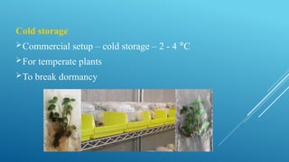 Comprehensive Guide to Plant Tissue Culture Laboratory Design and Setup ...