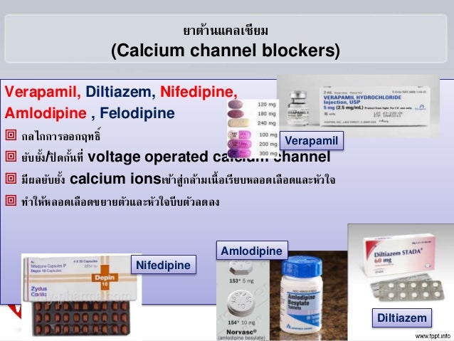 Felodipine Amlodipine Dose Conversion