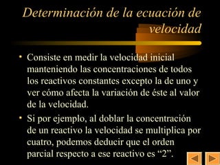 13
Determinación de la ecuación de
                      velocidad

• Consiste en medir la velocidad inicial
  manteniendo las concentraciones de todos
  los reactivos constantes excepto la de uno y
  ver cómo afecta la variación de éste al valor
  de la velocidad.
• Si por ejemplo, al doblar la concentración
  de un reactivo la velocidad se multiplica por
  cuatro, podemos deducir que el orden
  parcial respecto a ese reactivo es “2”.
 