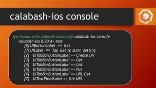 calabash-ios console
[yurikomarov@calabash-sandbox]$ calabash-ios console
calabash-ios 0.20.4> text
[0] UIButtonLabel => Get
[1] UILabel => Tap Get to start getting
[2] UITabBarButtonLabel => Create Dir
[3] UITabBarButtonLabel => Get
[4] UITabBarButtonLabel => List
[5] UITabBarButtonLabel => Put
[6] UITabBarButtonLabel => URL Get
[7] UITextFieldLabel => file URL
 