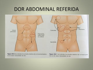 DOR ABDOMINAL REFERIDA
 