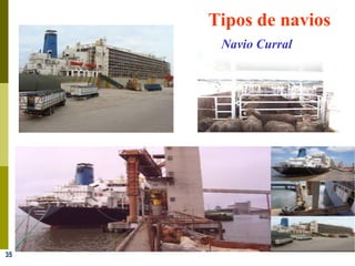 35
Tipos de navios
Navio Curral
 