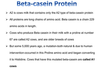  A2 is cows milk that contains only the A2 type of beta-casein protein
 All proteins are long chains of amino acid. Beta casein is a chain 229
amino acids in length.
 Cows who produce Beta casein in their milk with a proline at number
67 are called A2 cows, and are older breeds of cows
 But some 5,000 years ago, a mutation-both natural & due to human
intervention-occurred in this Proline amino acid and began converting
it to Histidine. Cows that have this mutated beta-casein are called A1
cows
 
