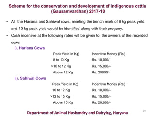 29
• All the Hariana and Sahiwal cows, meeting the bench mark of 6 kg peak yield
and 10 kg peak yield would be identified along with their progeny.
• Cash incentive at the following rates will be given to the owners of the recorded
cows
i). Hariana Cows
Peak Yield in Kg) Incentive Money (Rs.)
8 to 10 Kg Rs. 10,000/-
>10 to 12 Kg Rs. 15,000/-
Above 12 Kg Rs. 20000/-
ii). Sahiwal Cows
Peak Yield in Kg) Incentive Money (Rs.)
10 to 12 Kg Rs. 10,000/-
>12 to 15 Kg Rs. 15,000/-
Above 15 Kg Rs. 20,000/-
 