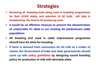 Strategies
 Screening of breeding bulls being used in breeding programmes
for their A1/A2 status and selection of A2 bulls will help in
transforming the herd to A2 producing ones
 It would be an effective measure to prevent the dissemination
of undesirable A1 allele in our existing A2 predominant cattle
populations
 All breeding bull used in cattle improvement programme
should have A2 allele for breeding.
 If there is demand from consumers for A2 milk as a matter of
choice, the Government of India and state governments should
come up with policy guidelines by designing sound breeding
policy for production of milk with desirable allele.
 