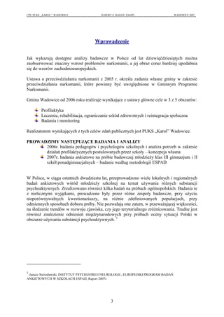 RAPORT Z PLADROWANIA visual data 7