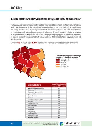 2 raport info_dlug_luty_2010