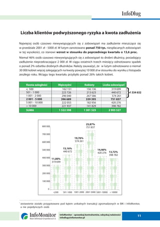 2 raport info_dlug_luty_2010