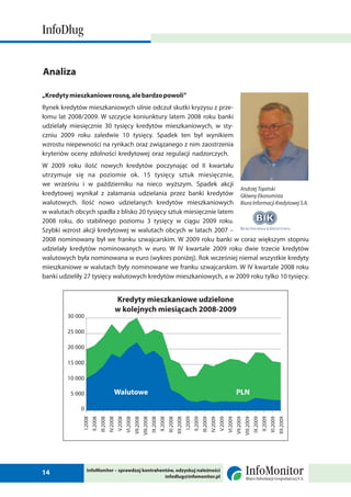 2 raport info_dlug_luty_2010