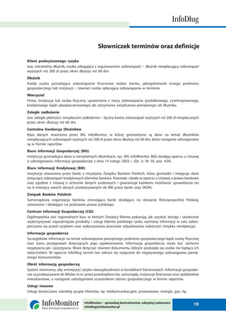 2 raport info_dlug_luty_2010