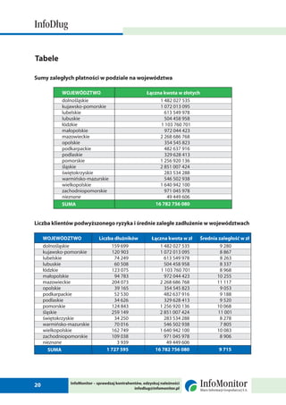 2 raport info_dlug_luty_2010