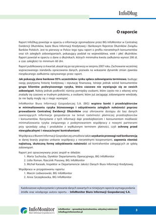 2 raport info_dlug_luty_2010