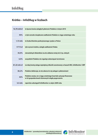 2 raport info_dlug_luty_2010