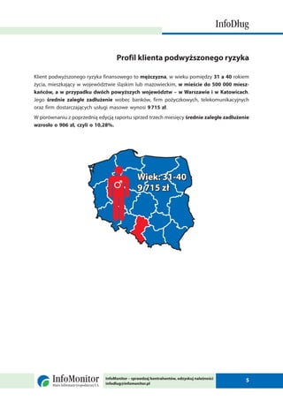 2 raport info_dlug_luty_2010