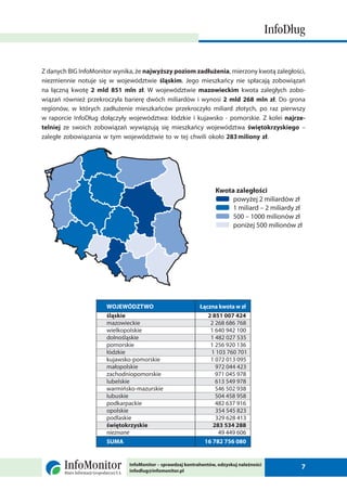 2 raport info_dlug_luty_2010