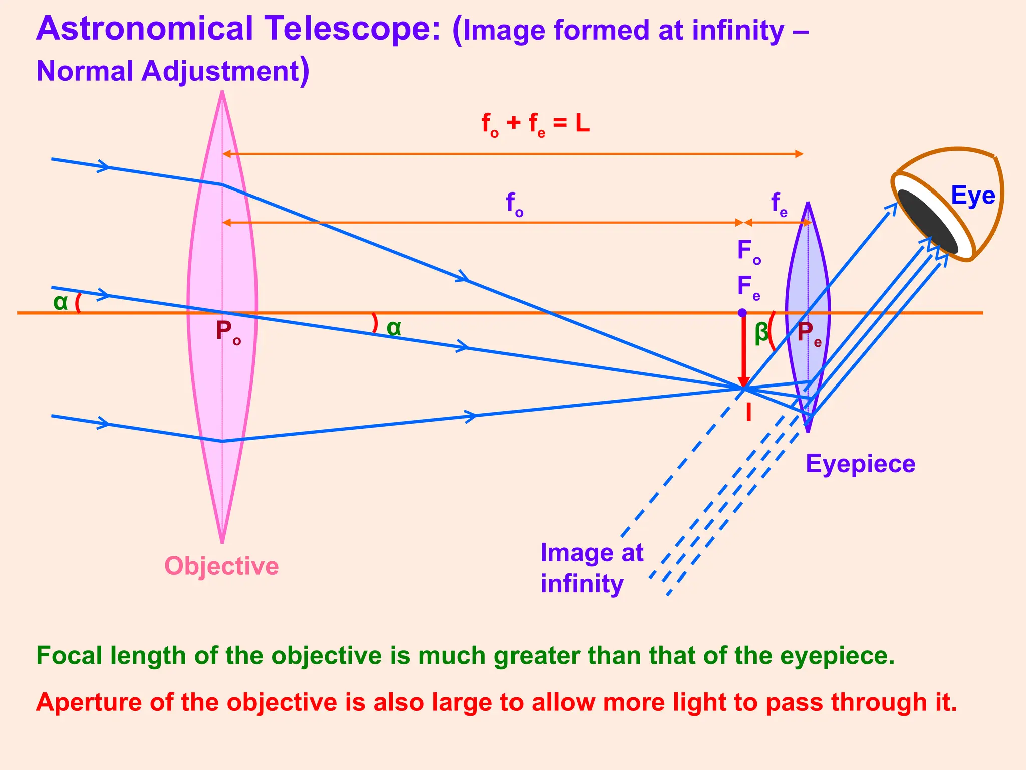 I
Image at
infinity
•
Fe
α
α
Fo
Objective
Eyepiece
Astronomical Telescope: (Image formed at infinity –
Normal Adjustment)
fo fe
Po Pe
Eye
β
fo + fe = L
Focal length of the objective is much greater than that of the eyepiece.
Aperture of the objective is also large to allow more light to pass through it.
 