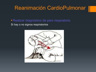 Reanimación CardioPulmonarRealizar diagnóstico de paro respiratorioSi hay o no signos respiratorios