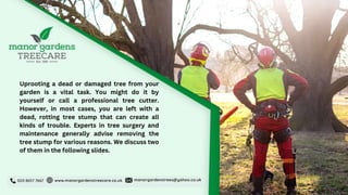 2 Reasons Why Tree Surgeons Tell to Remove a Rotting Tree Stump.pptx