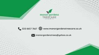2 Reasons Why Tree Surgeons Tell to Remove a Rotting Tree Stump.pptx