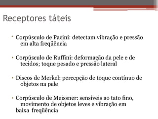 Reseptor Pacini Ruffini Receptores Sensoriais_revisao 064708.pptx