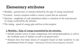 2 receptors.pptx anatomical feature below | PPTX