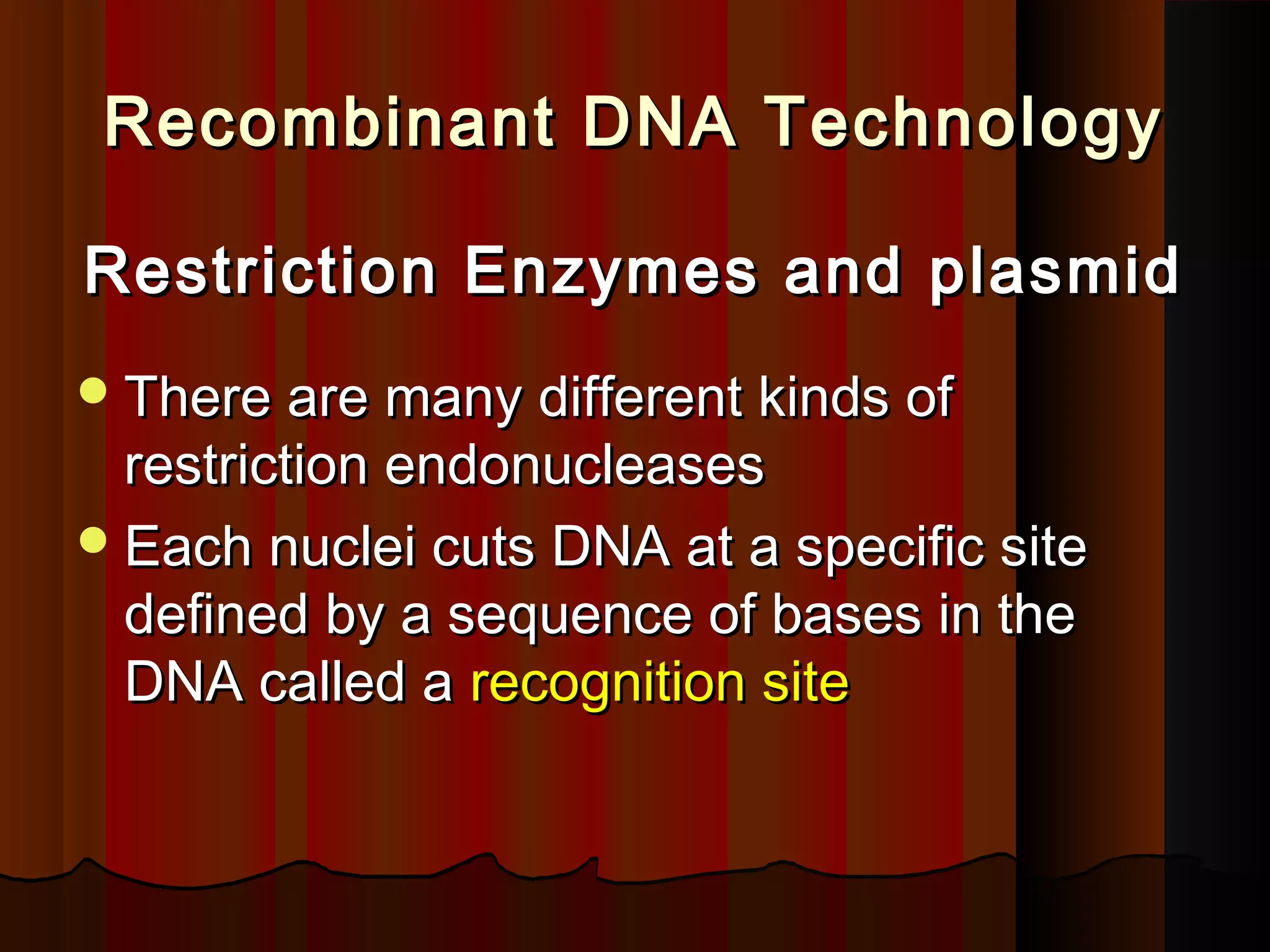 Recombinant DNA TechnologyRecombinant DNA Technology
Restriction Enzymes and plasmidRestriction Enzymes and plasmid
There are many different kinds ofThere are many different kinds of
restriction endonucleasesrestriction endonucleases
Each nuclei cuts DNA at a specific siteEach nuclei cuts DNA at a specific site
defined by a sequence of bases in thedefined by a sequence of bases in the
DNA called aDNA called a recognition siterecognition site
 