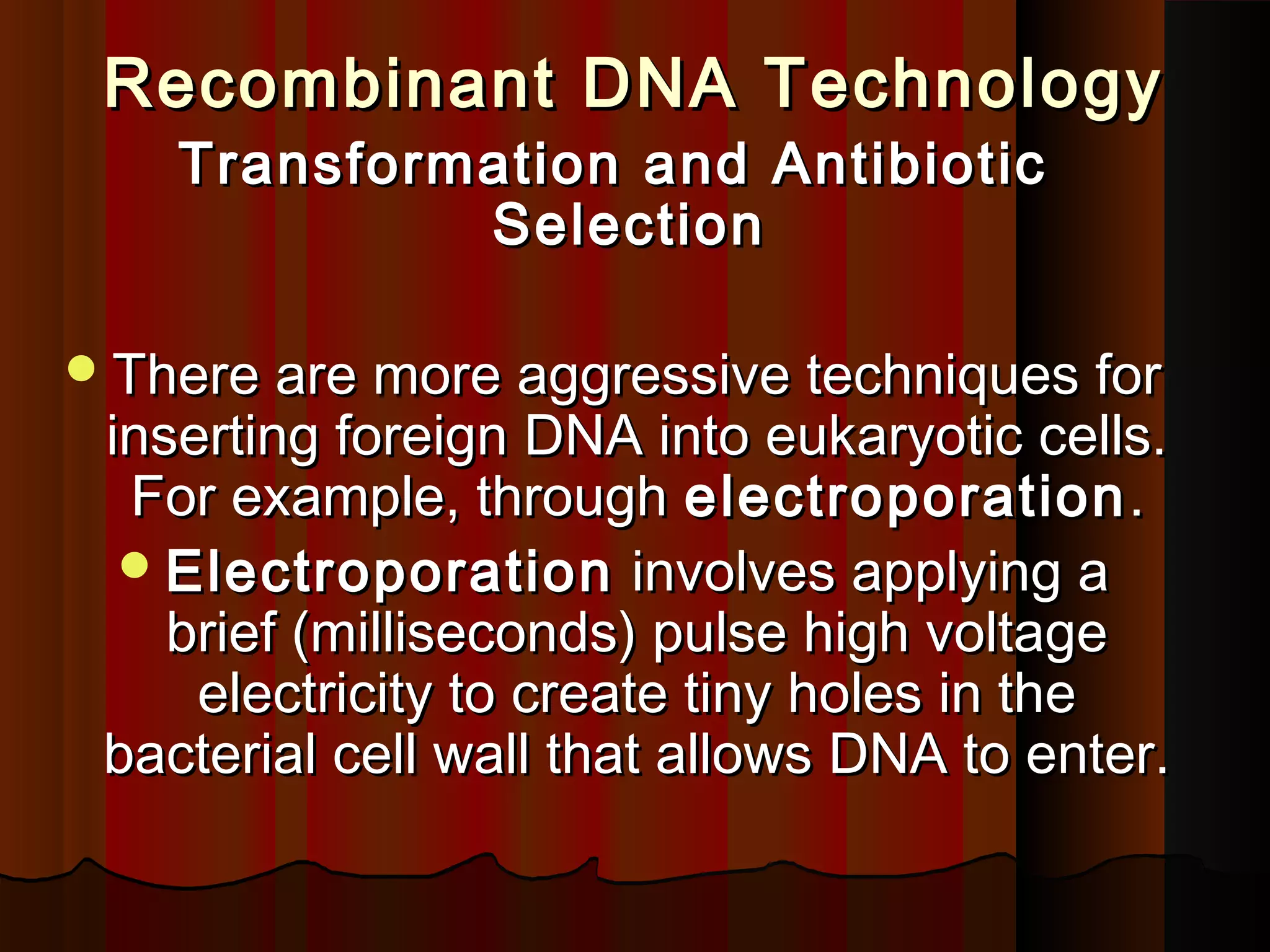 Recombinant DNA TechnologyRecombinant DNA Technology
Transformation and AntibioticTransformation and Antibiotic
SelectionSelection
There are more aggressive techniques forThere are more aggressive techniques for
inserting foreign DNA into eukaryotic cells.inserting foreign DNA into eukaryotic cells.
For example, throughFor example, through electroporationelectroporation ..
ElectroporationElectroporation involves applying ainvolves applying a
brief (milliseconds) pulse high voltagebrief (milliseconds) pulse high voltage
electricity to create tiny holes in theelectricity to create tiny holes in the
bacterial cell wall that allows DNA to enter.bacterial cell wall that allows DNA to enter.
 