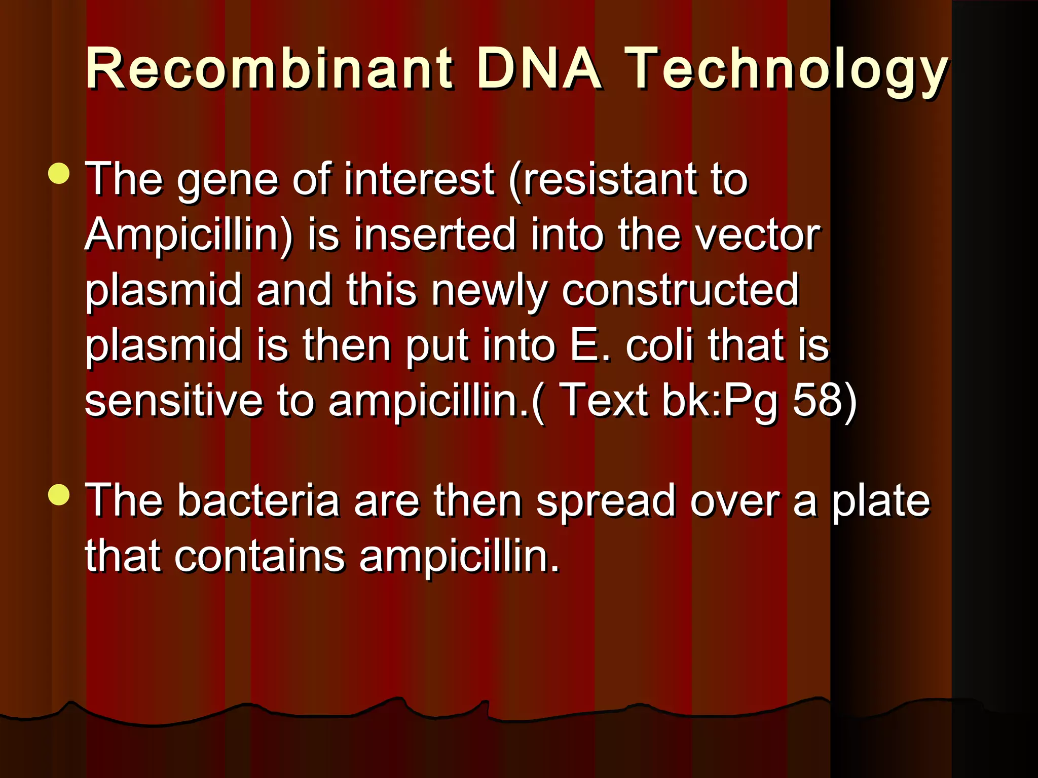 Recombinant DNA TechnologyRecombinant DNA Technology
The gene of interest (resistant toThe gene of interest (resistant to
Ampicillin) is inserted into the vectorAmpicillin) is inserted into the vector
plasmid and this newly constructedplasmid and this newly constructed
plasmid is then put into E. coli that isplasmid is then put into E. coli that is
sensitive to ampicillin.( Text bk:Pg 58)sensitive to ampicillin.( Text bk:Pg 58)
The bacteria are then spread over a plateThe bacteria are then spread over a plate
that contains ampicillin.that contains ampicillin.
 