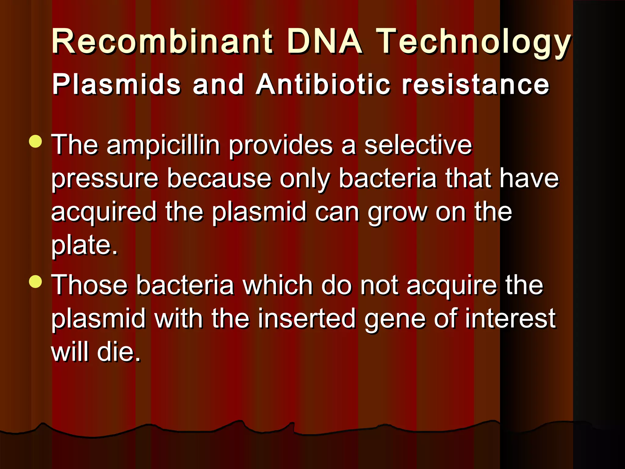 Recombinant DNA TechnologyRecombinant DNA Technology
Plasmids and Antibiotic resistancePlasmids and Antibiotic resistance
The ampicillin provides a selectiveThe ampicillin provides a selective
pressure because only bacteria that havepressure because only bacteria that have
acquired the plasmid can grow on theacquired the plasmid can grow on the
plate.plate.
Those bacteria which do not acquire theThose bacteria which do not acquire the
plasmid with the inserted gene of interestplasmid with the inserted gene of interest
will die.will die.
 