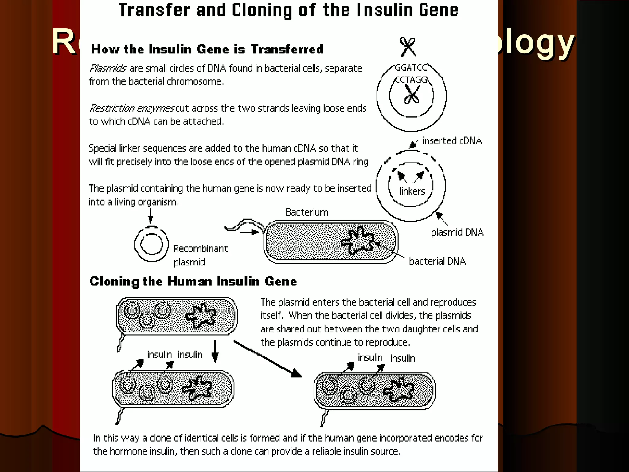 Recombinant DNA TechnologyRecombinant DNA Technology
 