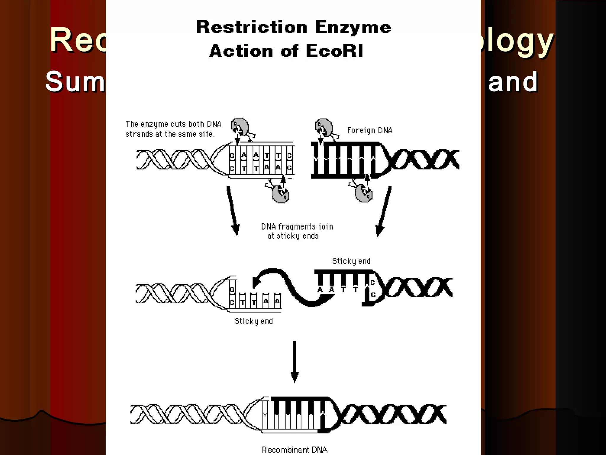 Recombinant DNA TechnologyRecombinant DNA Technology
Summary of Recombinant DNA andSummary of Recombinant DNA and
Cloning (Fig.):Cloning (Fig.):
 