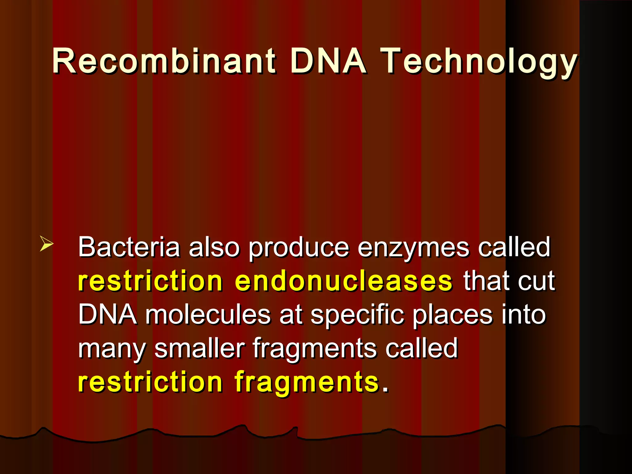 Recombinant DNA TechnologyRecombinant DNA Technology
 Bacteria also produce enzymes calledBacteria also produce enzymes called
restriction endonucleasesrestriction endonucleases that cutthat cut
DNA molecules at specific places intoDNA molecules at specific places into
many smaller fragments calledmany smaller fragments called
restriction fragmentsrestriction fragments ..
 