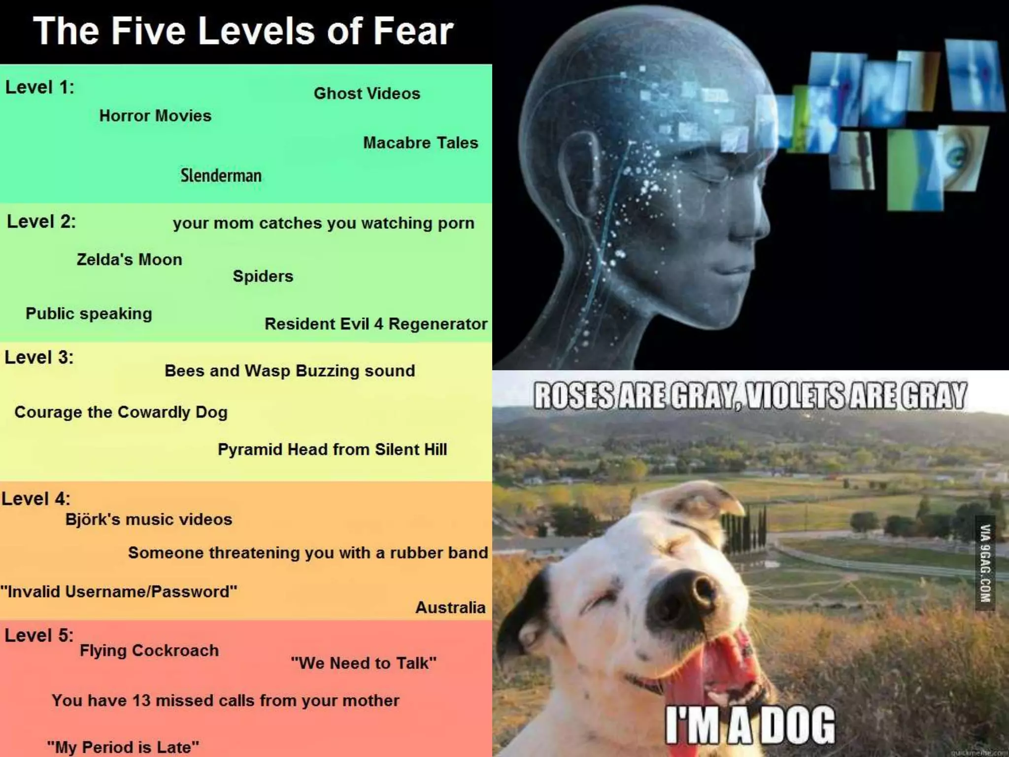 Помните ли страхът? 
 