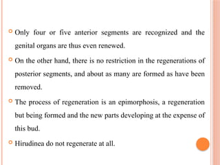  Only four or five anterior segments are recognized and the
genital organs are thus even renewed.
 On the other hand, there is no restriction in the regenerations of
posterior segments, and about as many are formed as have been
removed.
 The process of regeneration is an epimorphosis, a regeneration
but being formed and the new parts developing at the expense of
this bud.
 Hirudinea do not regenerate at all.
 