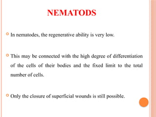 NEMATODS
 In nematodes, the regenerative ability is very low.
 This may be connected with the high degree of differentiation
of the cells of their bodies and the fixed limit to the total
number of cells.
 Only the closure of superficial wounds is still possible.
 