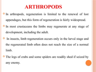 ARTHROPODS
 In arthropods, regeneration is limited to the renewal of lost
appendages, but this form of regeneration is fairly widespread.
 In most crustaceans the limbs may regenerate at any stage of
development, including the adult.
 In insects, limb regeneration occurs only in the larval stage and
the regenerated limb often does not reach the size of a normal
limb.
 The legs of crabs and some spiders are readily shed if seized by
any enemy.
 