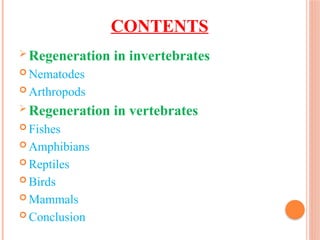 CONTENTS
 Regeneration in invertebrates
 Nematodes
 Arthropods
 Regeneration in vertebrates
 Fishes
 Amphibians
 Reptiles
 Birds
 Mammals
 Conclusion
 